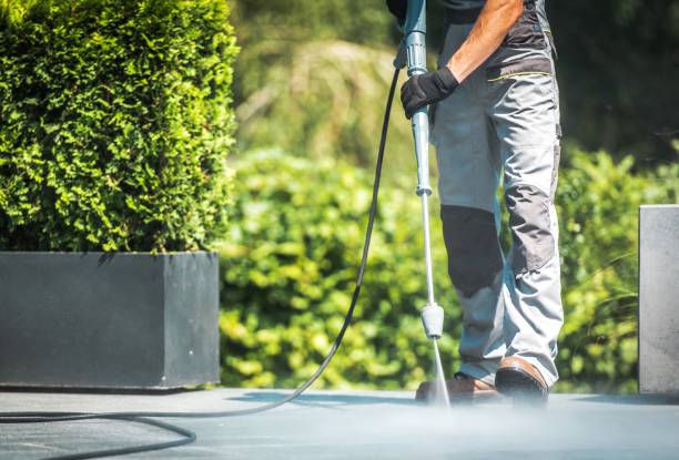 Best Animal Enclosure Cleaning  in Durango, CO
